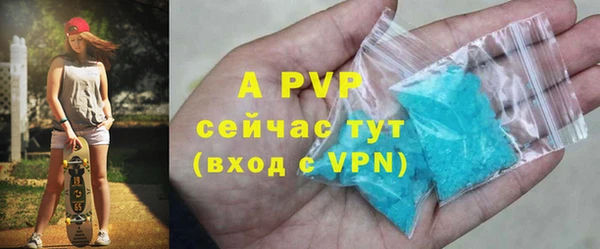 СК Алексин