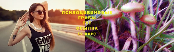 СК Алексин