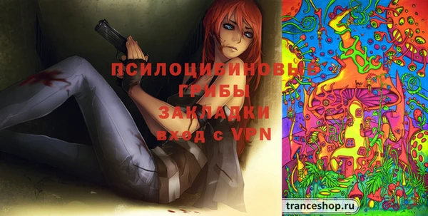 круглые Алзамай