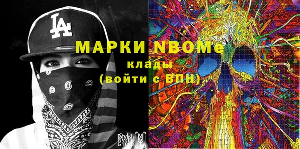 СК Алексин