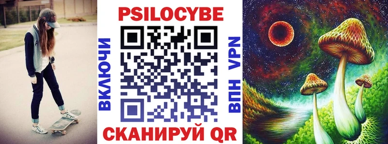 Галлюциногенные грибы Psilocybe  как найти   Березники 